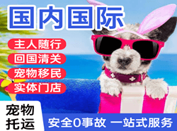 南通机场邮寄国际宠物托运 【国